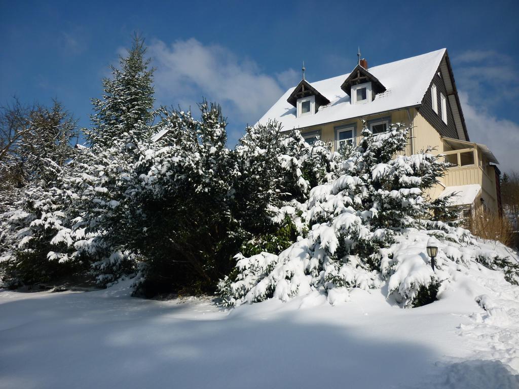 Pension Haus Martha Bad Grund Kültér fotó