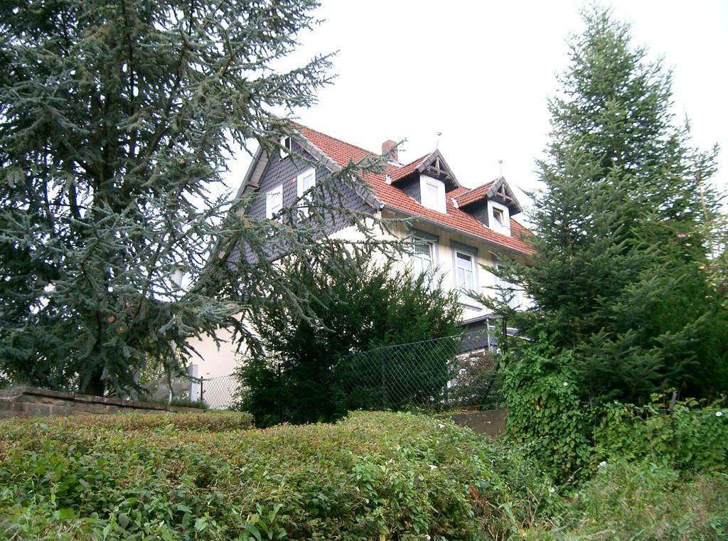 Pension Haus Martha Bad Grund Kültér fotó